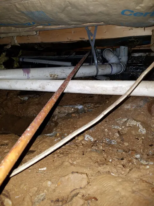 C&A Landscape & Construction Services Llc Picture 3