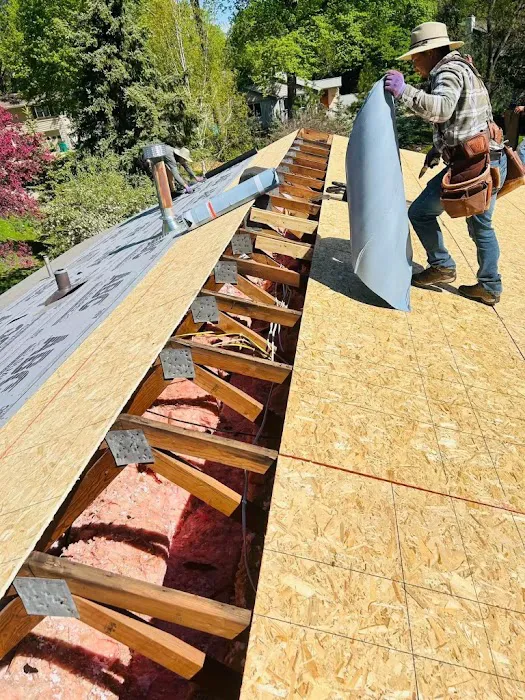 THE FLAT ROOF SPECIALISTS Picture 10