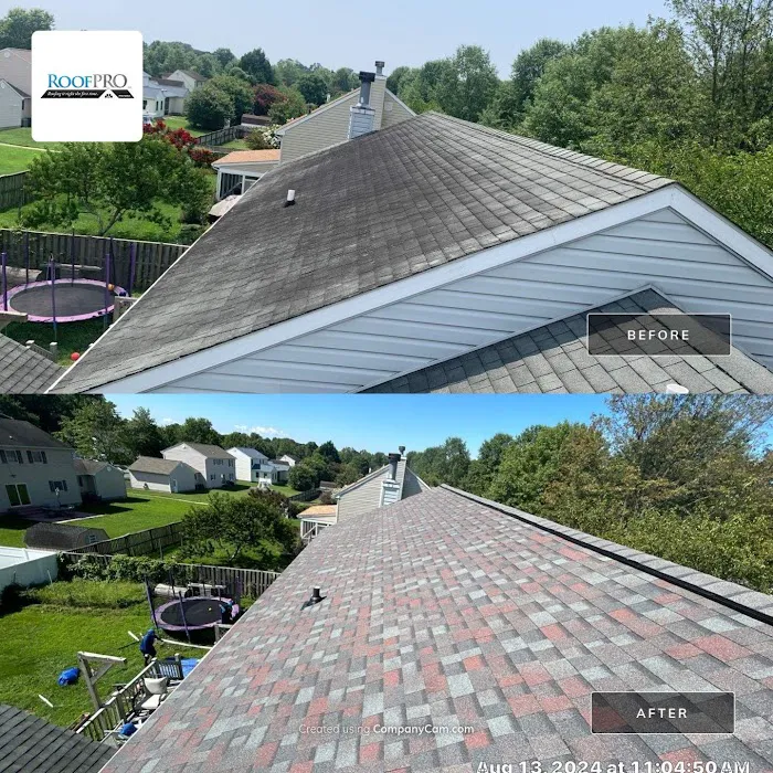 RoofPRO Picture 9