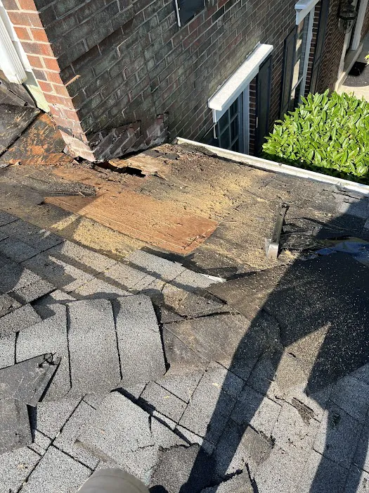 Rebel Roofer Picture 4