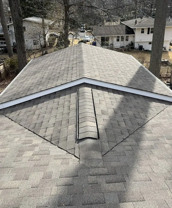 Rebel Roofer Picture 7