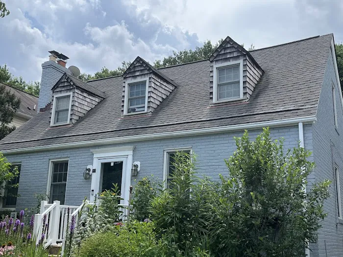 Rebel Roofer Picture 1