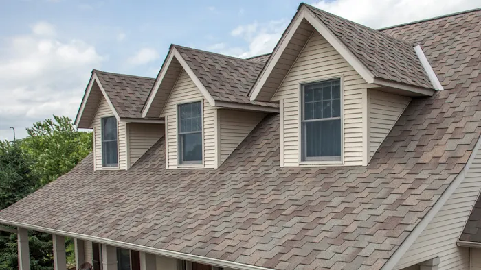 Rebel Roofer Picture 10