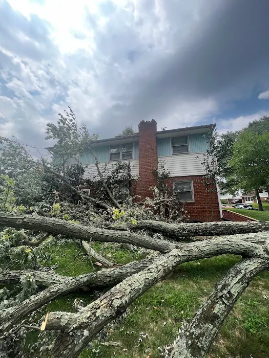 Quality Innovation Picture 1