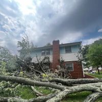 Quality Innovation ico