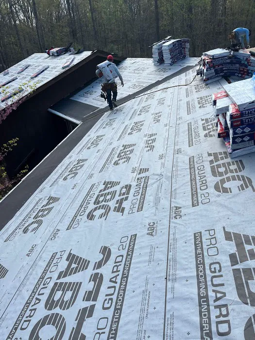 Crown Guard Picture 4