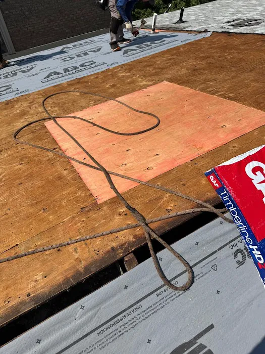 Crown Guard Picture 6