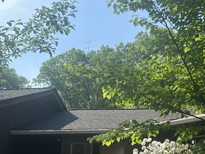 Crown Guard Picture 1