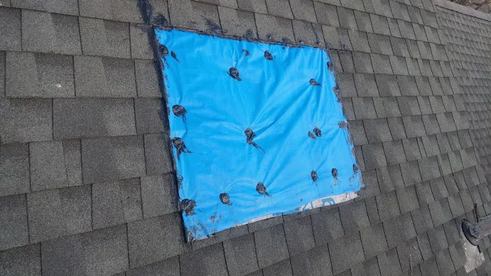 Hernandez Roofing Pros Picture 6