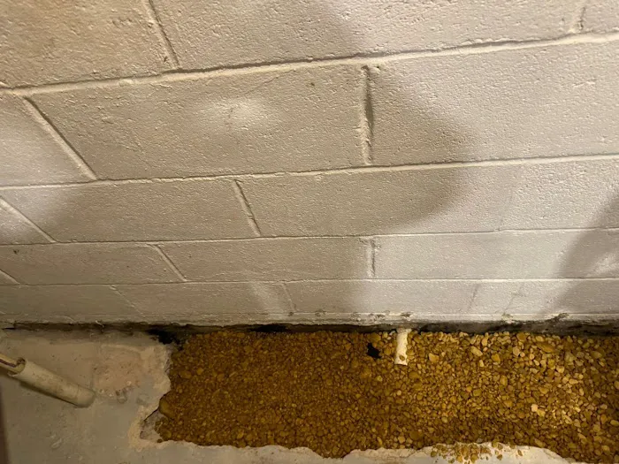 Halo Construction and Restoration Picture 5