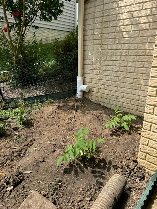 Halo Construction and Restoration Picture 7