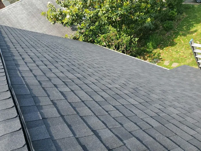 Nova Rooftek Picture 10