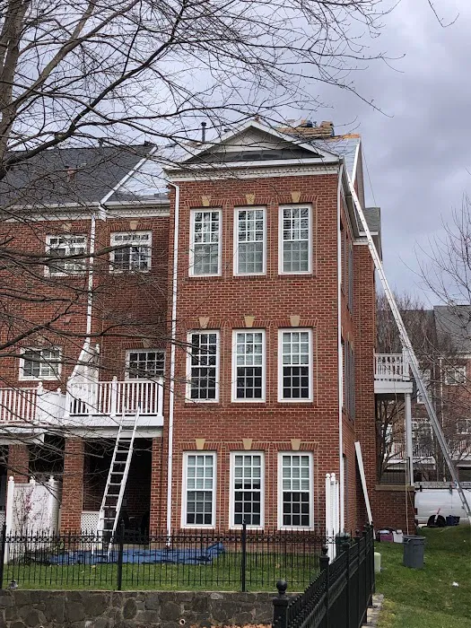 Nest Exteriors Picture 3