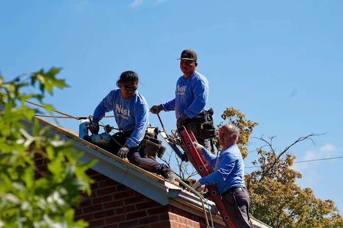 Nest Exteriors Picture 1