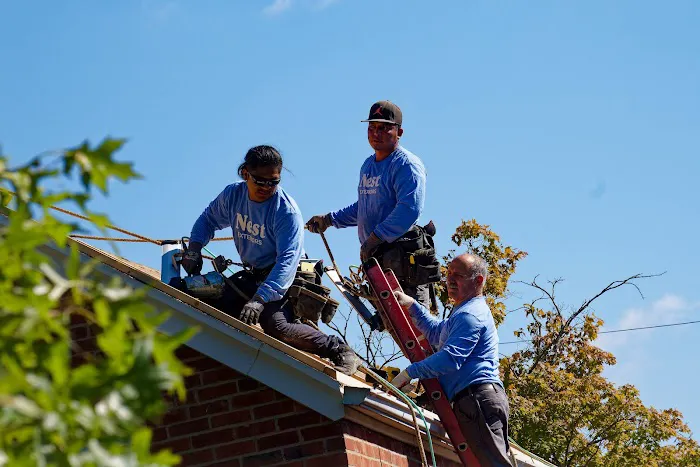 Nest Exteriors Picture 5