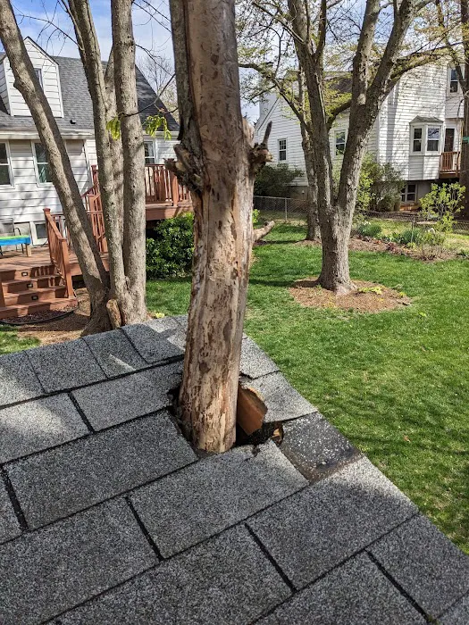 Nest Exteriors Picture 6