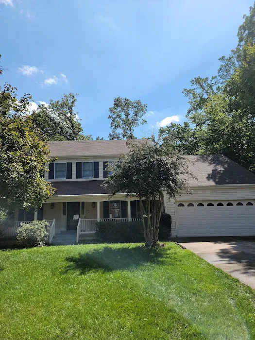 Roof Real Clean Picture 3