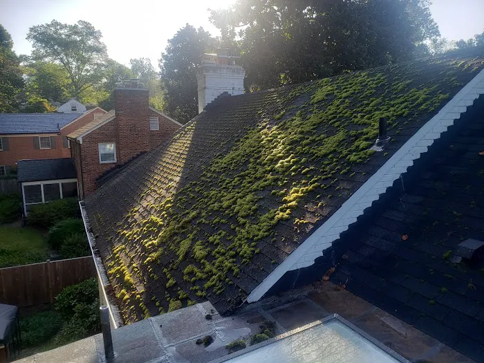 Roof Real Clean Picture 2