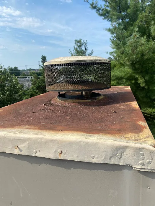 Radical Roof LLC Picture 2