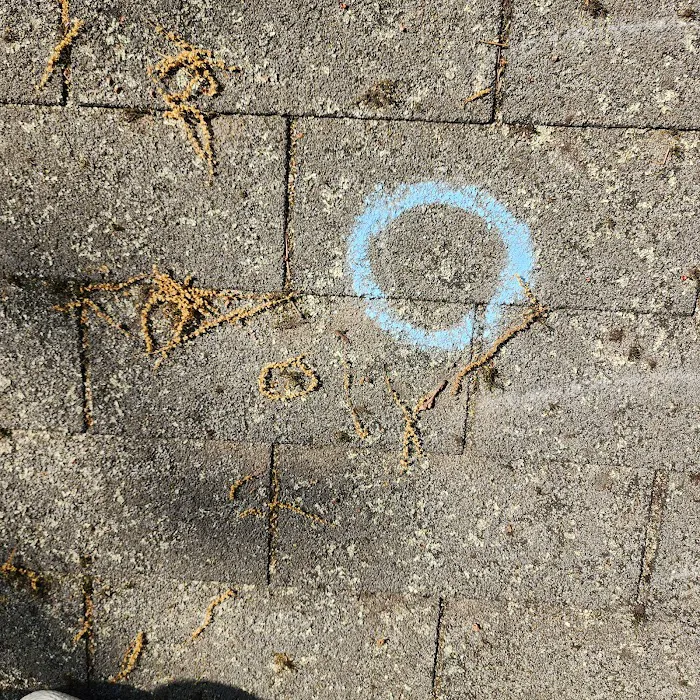 Falcon Roofing & Solar Picture 4