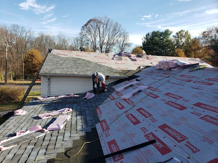 BRAX Roofing Picture 7