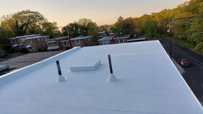 BRAX Roofing Picture 8