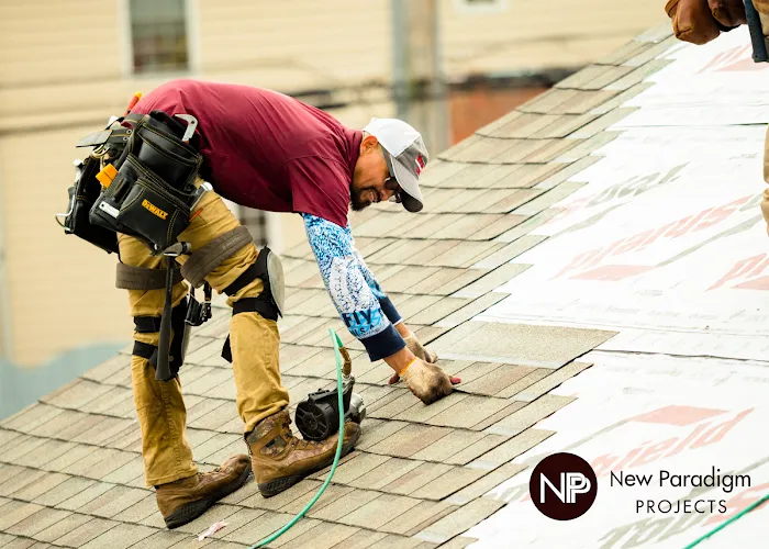 New Paradigm Projects Picture 10