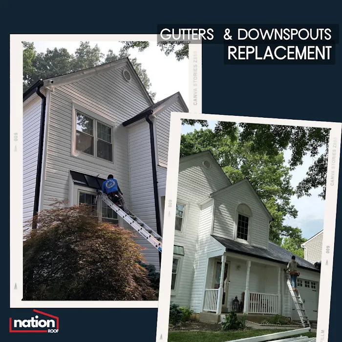 Nation Roof Picture 6