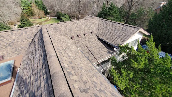 Nation Roof Picture 3