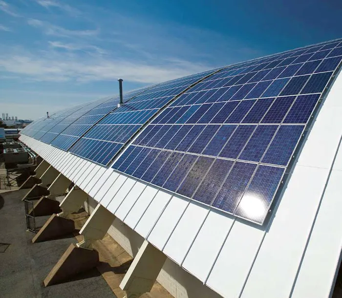 Advantage Green Solutions Picture 9