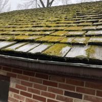 American Custom Contractors ico