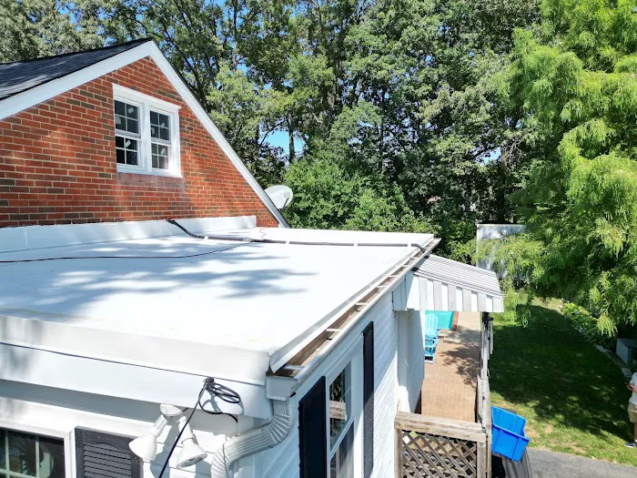 Reston Roof Picture 4