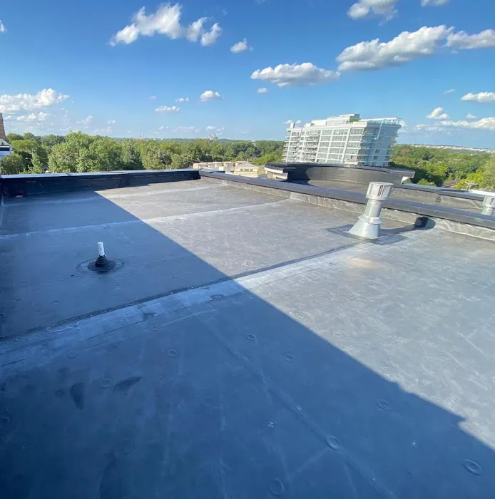 Reston Roof Picture 1