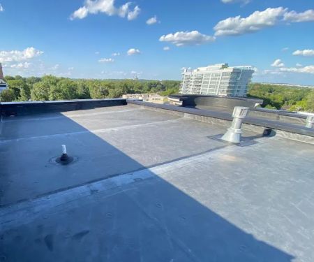 Reston Roof