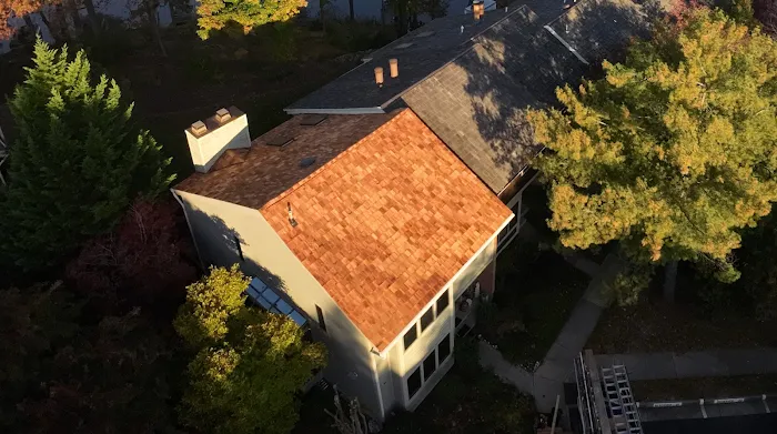 Reston Roof Picture 10