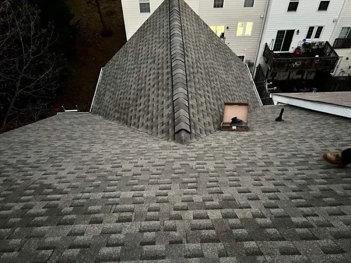 Virginia's Roofing Expert Picture 2