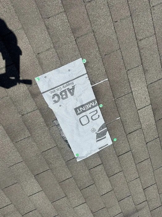 Rapid Roof Picture 5