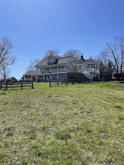 Rapid Roof Picture 8