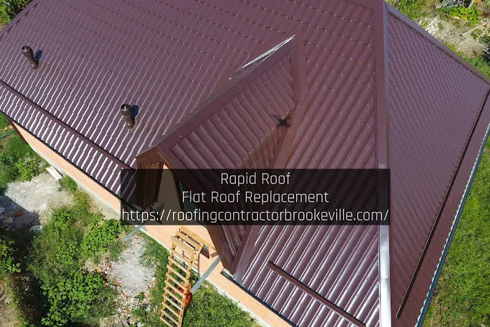 Rapid Roof Picture 1