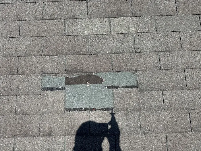 Rapid Roof Picture 4