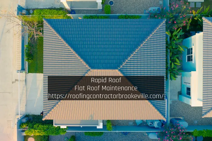 Rapid Roof Picture 10