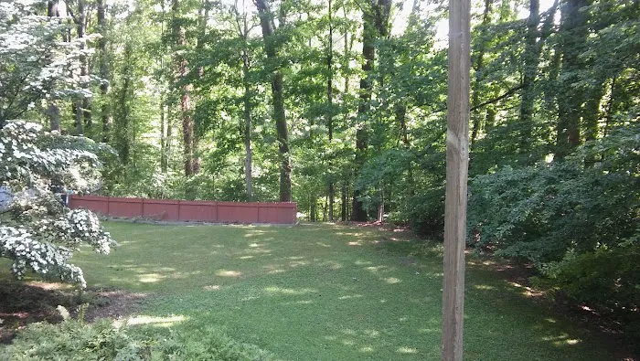 Burgundy Roofing Ltd Picture 1