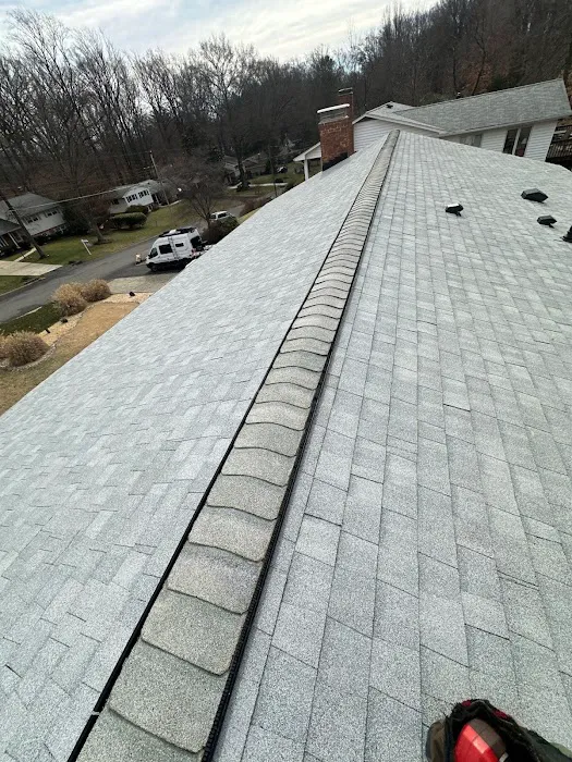 Esteam Roofer Picture 4