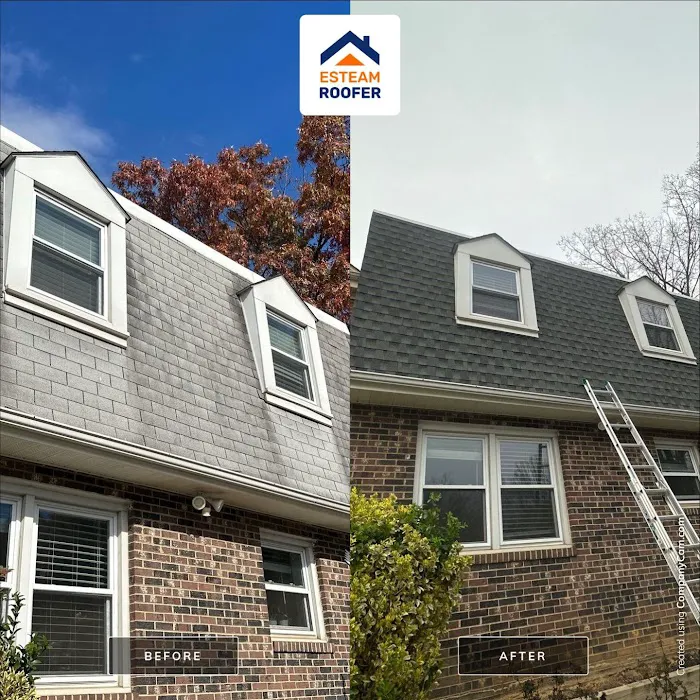 Esteam Roofer Picture 2