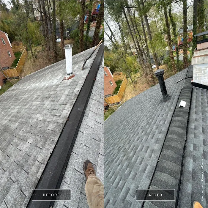 Esteam Roofer Picture 5