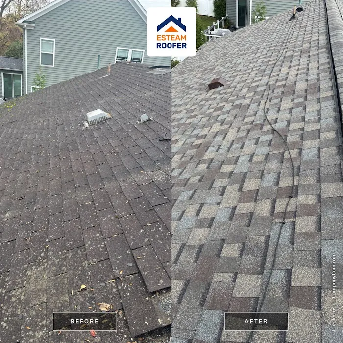 Esteam Roofer Picture 6