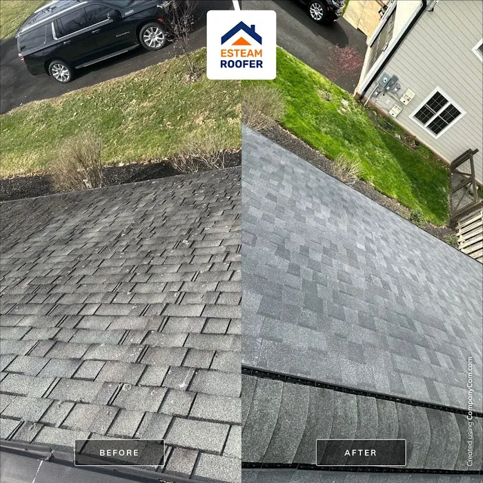 Esteam Roofer Picture 7