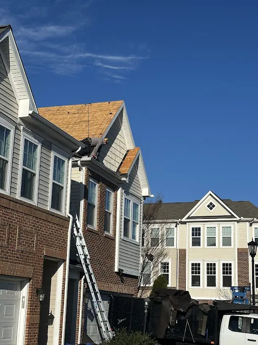 Expert Exteriors Picture 4