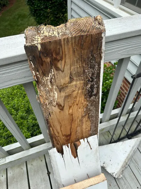 Rapid Response Remodeling Picture 2