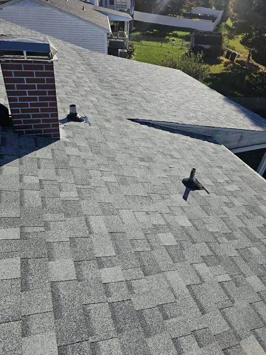 Next Level Exteriors Picture 6